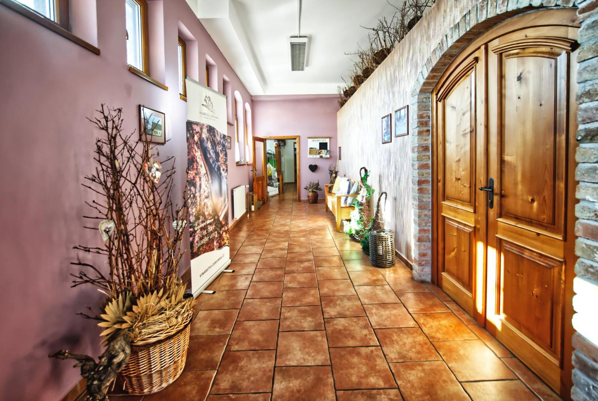Penzion Vinarstvi Cervinka Horni Vestonice Buitenkant foto