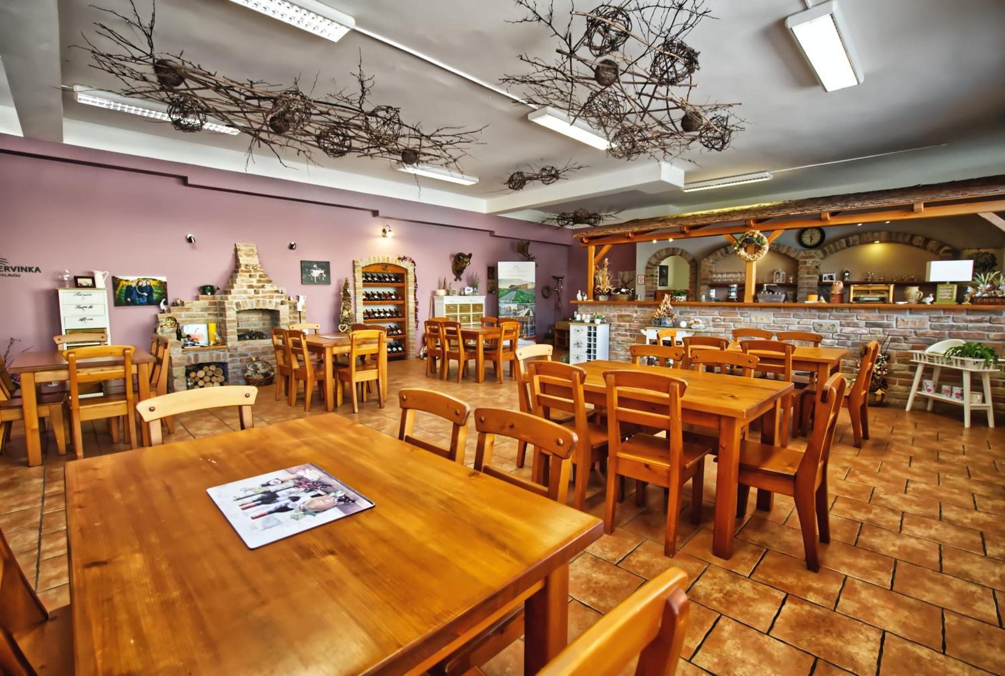 Penzion Vinarstvi Cervinka Horni Vestonice Buitenkant foto