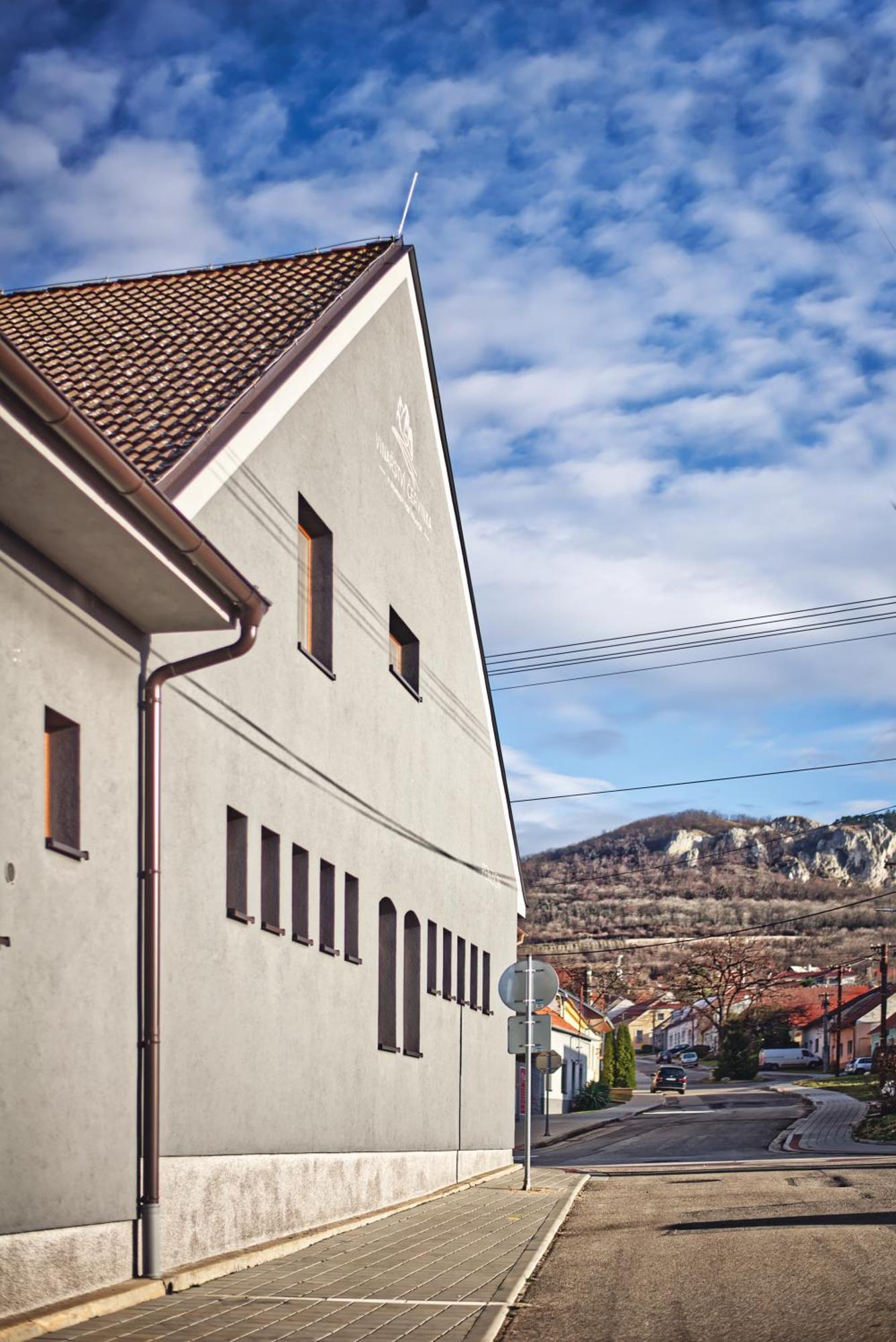Penzion Vinarstvi Cervinka Horni Vestonice Buitenkant foto